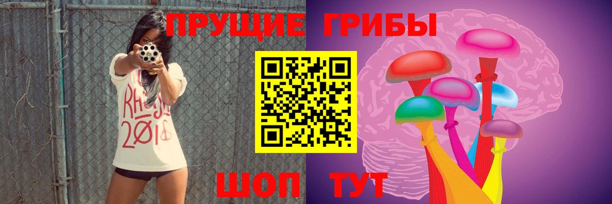 Гусев  Псилоцибиновые грибы MAGIC MUSHROOMS  Псилоцибиновые грибы Magic Shrooms  Вход с VPN 