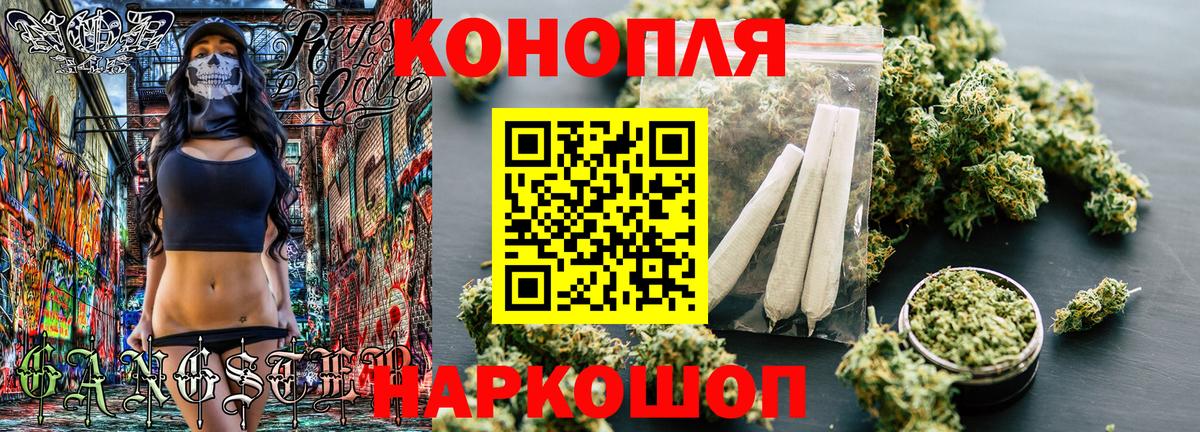 Каннабис гибрид Гусев